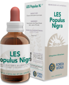 Populus Nigra Black Poplar 50 ml