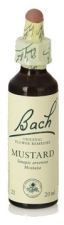 Bach 21 Mustard 20 ml