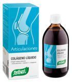 Dynamic Art Liquid Collagen Syrup 240 ml