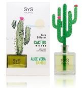 Aloe Vera and Bamboo Cactus Diffuser 90 ml