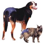 SnuggEase Washable Diaper / Brief for Dogs and Cats