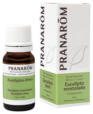 Menthol Eucalyptus Essential Oil 10 ml