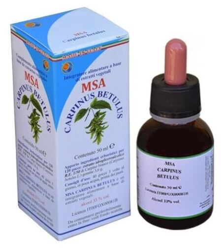 Msa Carpinus Betulus Buds 50 ml